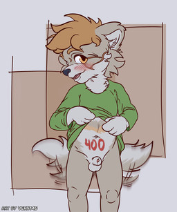 animal_genitalia anthro balls biped bottomless bottomless_anthro bottomless_male clothed clothing fur genitals male male_anthro penis penis_tip sheath simple_background smile solo tail tail_motion tailwag text young young_anthro young_male vernt45 canid canine mammal 5:6 absurd_res hi_res url