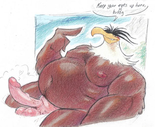 anthro arm_tuft balls bathing beak belly big_balls big_belly big_nipples big_penis black_eyebrows blue_sky blush brown_body brown_feathers chest_tuft dark_nipples dialogue erection eyebrows feather_tuft feathers fingers genitals gesture grin hand_gesture huge_belly long_eyebrows male moobs nipples overweight overweight_anthro overweight_male pale_penis penis pointing pointing_at_head pointing_at_self sitting sky smile solo speech_bubble teeth text thick_arms thick_thighs tuft water white_body white_feathers white_head yellow_beak yaperstuff18 angry_birds rovio_entertainment sega the_angry_birds_movie mighty_eagle accipitrid accipitriform avian bald_eagle bird eagle sea_eagle 2026 colored_pencil_(artwork) colored_sketch english_text sketch traditional_media_(artwork)