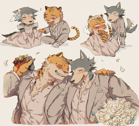 anthro blue_flower blush bouquet chibi claws clothed clothing collared_shirt countershading crossdressing dress dress_shirt duo embarrassed flower fur hand_holding humor male male/male open_mouth plant rose_(flower) shirt simple_background smile striped_body striped_fur stripes suit tail tail_motion tailwag teeth topwear wedding wedding_dress wedding_veil white_background white_clothing white_flower sski_0 beastars bill_(beastars) legoshi_(beastars) bengal_tiger canid canine canis felid mammal pantherine tiger wolf hi_res