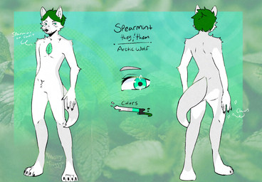 anthro black_claws claws fur green_eyes green_hair grey_body grey_fur hair male smile solo white_body white_ears white_fur mossy_froggy mint_leaf spearmint_(averagewolf97) arctic_wolf canid canine canis mammal wolf absurd_res hi_res nonbinary_(lore)