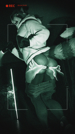 anthro anus bottomwear bottomwear_down brown_hair butt butt_grab camera_view clothed clothing converse_shoes disembodied_hand duo flashlight footwear ghost_hand hair hand_on_butt hoodie inside low-angle_view male open_mouth pants pants_down partially_clothed ponytail shoes solo_focus spread_anus spread_butt spreading standing surprised topwear mickey_the_retriever chuck_taylor_all_stars converse ailurid ghost mammal red_panda spirit 2021 4k 9:16 absurd_res hi_res