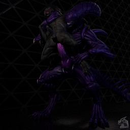 abdominal_bulge abs anal anal_orgasm anal_penetration anthro bodily_fluids bouncing_penis bulge cum duo ejaculation erection feet foot_grab foot_on_thigh genital_fluids genitals hands-free male male/male muscular muscular_male muscular_thighs neck_grab orgasm pecs penetration penis sex standing standing_sex zackmar_(artist) chocoscorner_(modeler) no-name-no-problem_(modeler) alien_(franchise) halo_(series) microsoft xbox_game_studios snakehead404 alien kig-yar scalie t'vaoan xenomorph 1:1 3d_(artwork) 3d_animation animated digital_media_(artwork) hi_res long_playtime no_sound video