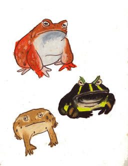 ambiguous_gender black_body brown_body feral frown group red_body simple_background white_background white_body osier_forest amphibian frog species_request 2023 hi_res sketch_page