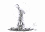 ambiguous_gender feral looking_at_viewer nude simple_background solo white_background lied_etal watership_down el-ahrairah lagomorph leporid mammal rabbit graphite_(artwork) greyscale hi_res monochrome signature sketch traditional_media_(artwork)