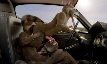 anal anthro brown_body brown_fur car clone daisy_train driving erection feet fellatio fingers fur genitals group group_sex holding_both_legs holding_object inside_car inside_vehicle male male/male male_penetrated male_penetrating male_penetrating_male male_rimmed male_rimming male_rimming_male nude oral oral_penetration penetration penile penis rimming rimming_male rimming_while_fellated selfcest sex sitting smile square_crossover tail threesome toes trio vehicle no-name-no-problem guardians_of_the_galaxy marvel rocket_raccoon mammal procyonid raccoon 3d_(artwork) 5:3 digital_media_(artwork) hi_res