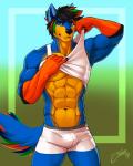 abs belly boxer_briefs bulge clothed clothing clothing_aside gloves_(marking) hair male markings multicolored_hair muscular orange_belly sparklefur underwear feralise deaththehusky canid canine canis domestic_dog husky mammal nordic_sled_dog spitz 2019 4:5 colorful_theme