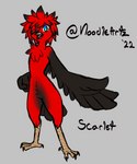 beak black_arms black_tail_feathers blue_eyes crotch_tuft feather_hair feather_hands feather_tuft feathers feet intersex pseudo_hair red_body red_feather_hair red_feathers tail tail_feathers talons toes tuft noodleartz scarlet_(noodleartz) avian bird cardinal_(bird) oscine passerine piranga scarlet_tanager hi_res sketch