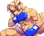 anthro black_nose blonde_hair blue_boxing_gloves blue_clothing blue_gloves blue_handwear bodily_fluids boxing_gloves boxing_gloves_only cheek_tuft clothing cum cum_on_own_penis cum_on_penis cum_on_self facial_tuft floppy_ears fur genital_fluids genitals gloves hair handwear handwear_only humanoid_genitalia humanoid_penis kemono male mostly_nude muscular penis simple_background solo tongue tongue_out tuft vein veiny_penis white_background yellow_body yellow_fur 0onooo66 canid canine canis domestic_dog mammal 2021 6:5