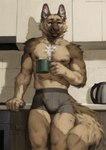 anthro athletic athletic_anthro athletic_male biped brown_body brown_fur bulge clothing container cup fur holding_container holding_cup holding_object inner_ear_fluff inside kitchen male nipples solo tan_body tan_fur tuft underwear white_body white_fur white_inner_ear_fluff honovy canid canine canis domestic_dog german_shepherd herding_dog mammal pastoral_dog 2024 digital_media_(artwork) hi_res