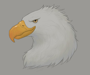 ambiguous_form ambiguous_gender beak glistening glistening_eyes grey_background looking_at_viewer mouth_closed narrowed_eyes side_view simple_background solo white_body yellow_beak yellow_eyes aduran accipitrid accipitriform avian bird eagle absurd_res headshot_portrait hi_res portrait