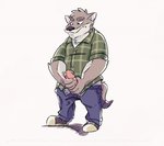 anthro clothed clothing genitals male masturbation penile penile_masturbation penis simple_background solo standing white_background topony cousin_dave canid canine canis coyote mammal