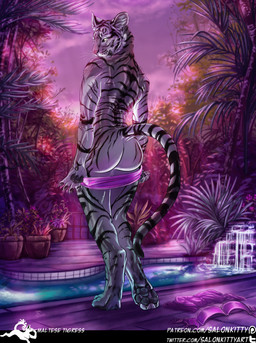 ambiguous_gender anthro bikini butt clothing looking_at_viewer looking_back muscular muscular_ambiguous muscular_anthro outside patreon_logo pawpads paws rear_view seductive solo standing stripes sunset swimming_pool swimwear text two-piece_swimsuit undressing salonkitty patreon felid mammal pantherine tiger url