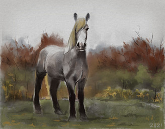 ambiguous_feral ambiguous_gender black_body black_eyes black_fur black_legs blonde_hair feral fur grass green_shrubbery grey_body grey_fur hair hooves looking_at_viewer plant quadruped red_shrubbery shrub sky solo unguligrade white_body white_fur white_sky alexpahomov equid equine horse mammal 2021