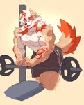 1_horn abs anthro athletic_wear barbell bench big_muscles black_bottomwear black_clothing black_shorts bodily_fluids bottomwear clothed clothing fluffy fluffy_tail fur gym_bottomwear gym_shorts hair horn long_hair looking_at_viewer male multicolored_hair muscular muscular_anthro muscular_male orange_eyes pecs shorts simple_background solo sweat tail tan_body tan_fur thick_thighs topless topless_male two_tone_hair white_hair yellow_background crimsonrabbit arknights hypergryph studio_montagne hung_(arknights) canid canine canis domestic_dog mammal 2022 hi_res