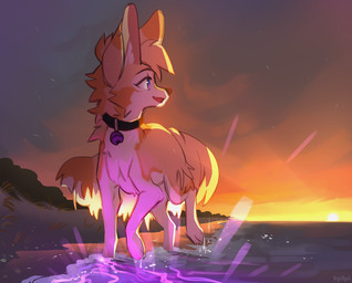 beach bell bell_collar collar detailed_background feral fur light open_mouth open_smile outside sea seaside smile solo sunset text water white_body white_fur hyilpi canid canine mammal 2023 artist_name digital_media_(artwork) lighting