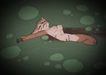 anthro athletic athletic_anthro athletic_female blood blood_from_mouth blood_in_mouth bodily_fluids breasts clitoris corpse death dirty_water erect_nipples female floating genitals navel nipples nosebleed nude ryona snuff solo vulva water crowskull blizzard_entertainment warcraft canid canine fox mammal vulpera hi_res