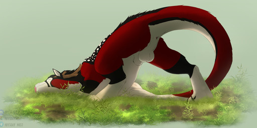 animal_genitalia anthro antlers anus ass_up balls black_body black_fur blep dewclaw feral fur genitals grass horn male outside plant red_body red_fur rubbing_head sheath solo tail tongue tongue_out white_body white_fur abyss_of_mist sanguine_(sanguinederg) felkin 2026 digital_drawing_(artwork) digital_media_(artwork) hi_res