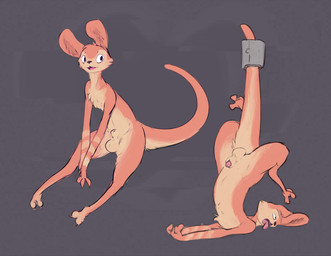 animal_genitalia anthro balls bound fully_sheathed fur genitals male nude open_mouth orange_body orange_fur penis penis_tip sheath solo submissive submissive_male tongue tongue_out mindkog jak_and_daxter naughty_dog sony_corporation sony_interactive_entertainment daxter hybrid mammal mustelid musteline otter ottsel true_musteline weasel hi_res