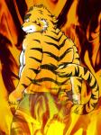 anthro ast back black_nose clothing eyebrows feline fire fur kemono looking_back male mammal pants solo stripes tiger warm_colors yellow_fur
Rating: Questionable
Score: 1
User: terminal11
Date: January 25, 2014