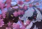 ambiguous_feral ambiguous_gender cherry_blossom duo feral flower plant prunus_(flower) sky marmenuar canid canine canis mammal wolf headshot_portrait portrait female_(lore) male_(lore)