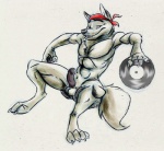 abs anthro balls biceps biped black_body black_fur black_penis chest_tuft claws clothing disc_jockey erection fluffy fluffy_tail fur genitals headgear headkerchief headwear humanoid_genitalia humanoid_penis kerchief looking_at_viewer male muscular muscular_anthro muscular_male nude pecs penis pose record red_kerchief simple_background sitting smile solo spread_legs spreading tail tuft white_background dragondrawer lupine_assassin canid canine canis mammal wolf 2009 colored