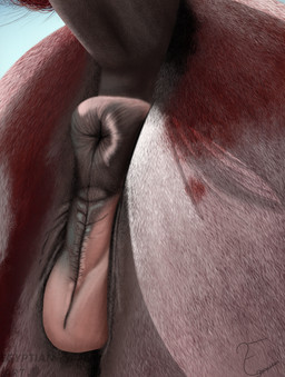 anatomically_correct anatomically_correct_feral animal_genitalia animal_vulva anus anus_focus blue_sky brown_anus brown_vulva butt butt_focus close-up equine_anus equine_genitalia equine_vulva female female_feral feral genital_focus genitals hair light multicolored_body multicolored_hair multicolored_vulva outside pink_vulva puffy_anus realistic realistic_anatomy realistic_feral rear_focus red_body red_hair shadow sky solo tail vulva vulva_focus white_hair egyptian_jackal12 hetra_vail_(egyptian_jackal12) equid equine horse mammal 2024 colored digital_media_(artwork) digital_painting_(artwork) hi_res lighting painting_(artwork) shaded signature watermark