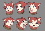 bodily_fluids expressions female feral fur grey_background open_mouth red_body red_fur simple_background solo tan_body tan_fur tears teeth bloowolfy ginga_(series) fan_character mio_(bloowolfy) akita canid canine canis domestic_dog mammal spitz 2023 hi_res