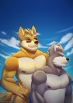 5_fingers anthro beach clothed clothing cloud duo fingers frown male muscular muscular_male nipples outside seaside sky smile swimwear topless water sush1d0g3 nintendo star_fox fox_mccloud james_mccloud wolf_o'donnell canid canine canis fox mammal wolf absurd_res hi_res