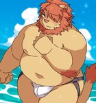 anthro belly big_belly blush bulge clothed clothing cloud detailed_bulge genital_outline jockstrap kemono male moobs navel nipples overweight overweight_male penis_outline solo underwear underwear_only water ptcmtr lifewonders tokyo_afterschool_summoners oz_(tas) felid lion mammal pantherine 2022 hi_res