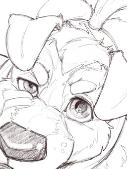 anthro anthro_on_anthro butt close-up clothed clothed_anthro clothed_male clothing duo eye_contact fellatio floppy_ears fur hair high-angle_view looking_at_another looking_up looking_up_at_another male male/male male_anthro muscular muscular_anthro muscular_male nipples oral pecs penile reflection reflection_in_eyes sex shirt solo_focus tail tank_top topwear underwear oldshep canid canine canis domestic_dog mammal greyscale hi_res monochrome sketch