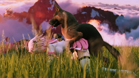 bottomwear clothing doggystyle duo female feral field from_behind_position grass grip leggings legwear male male/female plant sex shepherd skirt trioami260 fate_(series) type-moon astolfo_(fate) canid canine canis domestic_dog human mammal bow_(disambiguation) pink animated long_playtime video