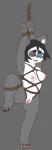 anthro bdsm bondage bound breasts female fur genitals hair nipples nude open_mouth presenting pussy restraints rope rope_bondage short simple_background smile solo o-ishi bear giant_panda mammal digital_media_(artwork) hi_res