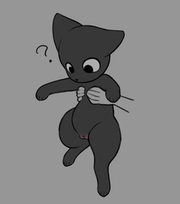 black_body black_fur blush body_blush carrying_another disembodied_hand duo female female_feral female_focus feral feral_focus fur genitals grey_background oblivious paws quadruped question_mark simple_background solo_focus three-quarter_view vulva vulva_blush mrmystery_guy domestic_cat felid feline felis mammal 2026 digital_drawing_(artwork) digital_media_(artwork) flat_colors