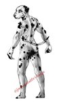 anthro butt looking_at_viewer looking_back looking_back_at_viewer male nude pose rear_view simple_background smile solo standing white_background pantsu_smiley canid canine canis dalmatian domestic_dog mammal black_and_white hi_res monochrome