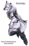 4_toes anthro biped elegant feet female fluffy hair jumping long_hair looking_at_viewer mummy_wrappings paws solo tail toes whiskers palelady gravewalker_(character) canid canine canis mammal wolf hi_res