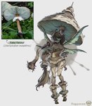 bottomwear breasts cleavage clothed clothing female fungus hair insect_wings long_hair mushroom not_furry simple_background skirt solo white_background wings rappenem elemental_creature elemental_humanoid fungi_fauna fungi_humanoid humanoid mushroom_humanoid pixie full-length_portrait hi_res portrait