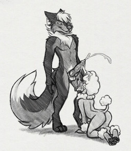 4_toes 5_fingers age_difference all_fours animal_genitalia animal_penis ankle_tuft anthro anthro_on_anthro arm_tuft balls blush bodily_fluids breasts canine_genitalia canine_penis chest_tuft claws cum cum_in_hair cum_on_face cum_on_penis cum_on_tongue cumshot dipstick_tail duo ear_tuft ejaculation elderly elderly_anthro elderly_female erection eye_contact eyelashes eyeshadow fangs feet female finger_claws fingers floppy_ears fluffy fluffy_hair fur genital_fluids genitals hair hindpaw humanoid_hands interspecies kneeling kneeling_oral_position knot knotted_penis larger_male leg_tuft long_eyelashes looking_at_another looking_at_partner looking_down looking_down_at_partner looking_up_at_partner makeup male male/female mane mane_hair markings mascara mature_anthro mature_female miami_clip navel neck_tuft nipple_piercing nipple_tassels nipples nude nude_anthro nude_female nude_male older_female pawpads paws penis piercing sagging_breasts shaved size_difference smaller_female smile standing tail tail_markings tail_tuft teeth toe_claws toes tongue tongue_out tuft wrist_tuft younger_male snowy18 marie_(nightdancer) nightdancer_(character) canid canine canis domestic_dog mammal poodle wolf 2025 colored colored_sketch full-length_portrait hi_res portrait sketch