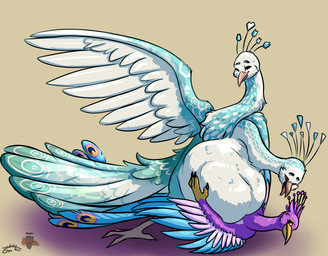 2_heads abdominal_bulge anthro avian_feet beak biped blue_body feathered_crest feathered_wings feathers femboy feral green_eyes head_crest male multi_head pink_body pinned pinned_to_ground same_size_vore tail tail_feathers vore winged_arms wings gyrotech shadowponi gyro_feather sviri_and_vaelhen avian bird galliform peafowl phasianid hi_res
