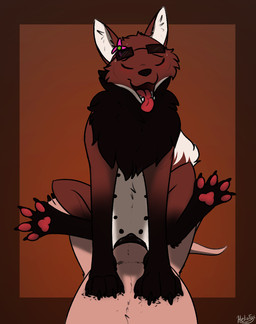 anatomically_correct animal_genitalia animal_vulva balls blush breath canine_genitalia canine_vulva cheek_tuft claws cowgirl_position duo facial_tuft feet female female_penetrated feral fluffy fluffy_tail from_front_position fur genitals male male/female male_penetrating male_penetrating_female multi_nipple nipples on_bottom on_top open_mouth panting pawpads paws penetration penile penis quadruped sex simple_background smile spread_toes tail toes tongue tongue_out tuft vaginal vaginal_penetration vulva conditional_dnp heliofox tango_(heliofox) thylus canid canine canis dasyuromorph mammal maned_wolf marsupial recently_extinct_species thylacine digital_media_(artwork) hi_res