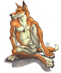 animal_genitalia animal_penis anthro balls biped blue_eyes canine_genitalia canine_penis claws detached_sheath digitigrade facial_hair finger_claws front_view fur genitals goatee hei-matau inner_ear_fluff jewelry logo looking_aside male male_anthro necklace nude nude_anthro nude_male penis penis_tip pointy_ears pose prick_ears sheath simple_background solo spread_legs spreading tail tan_body tan_fur tasteful_nudity toe_claws tuft white_background white_balls white_sheath blotch scratches_volume_3 the_dog's_days_of_summer diego_(blotch) canid canine canis dingo mammal 2009 5:6 artist_logo cross-hatching dated full-length_portrait hatching_(art) hi_res portrait shaded simple_shading traditional_media_(artwork)