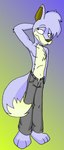 blue_body blue_fur bottomwear clothing denim denim_bottomwear denim_clothing fur jeans male pants solo tabbiewolf neopets canid canine canis lupe_(neopets) mammal neopet_(species) wolf