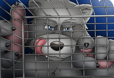 anthro blue_eyes cage captured fur gesture grey_body grey_fur hand_gesture looking_at_viewer male pointing pointing_at_viewer prisoner rape_face solo teeth tongue tongue_out blackmuzzle mammal procyonid raccoon source_request