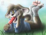 2007 blue_eyes bottomless brown_fur candy canine collar cub dog food fur husky lollipop male mammal messy outside saliva socks solo young zen
Rating: Questionable
Score: 12
User: Rorrick
Date: April 06, 2014