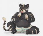 anthro biped black_body black_fur blush bodily_fluids bottomwear clothing dessert food fur humanoid_hands ice_cream male one_eye_closed overweight overweight_anthro overweight_male shorts simple_background sitting solo sweat tongue tongue_out white_background white_body white_fur wink salga_0310 felid mammal pantherine tiger 2019 hi_res