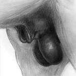 animal_genitalia balls balls_shot close-up equine_balls equine_genitalia feral fully_sheathed genital_shot genitals male realistic_feral sheath solo darkmare equid equine horse mammal equine_sheath 1:1 graphite_(artwork) greyscale monochrome traditional_media_(artwork)