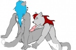 anthro anthro_on_anthro blue_hair duo erection fellatio femboy fluffy fluffy_tail genitals hair licking male male/male male_penetrated male_penetrating male_penetrating_male nude oral penetration penile penis penis_lick sex tail tongue tongue_out nightwind005 unknown_artist kiffy nightwind canid canine canis mammal wolf