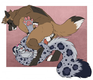 anal anal_penetration anthro big_tail dominant dominant_male duo feet from_front_position genitals knot knotted_penis leopard_spots lying male male/male male_penetrated male_penetrating male_penetrating_male mating_press on_back pawpads penetration penile penile_penetration penis penis_in_ass pink_pawpads sex spots spread_toes submissive submissive_male tail toes tongue tongue_out xxbloodymess rowan_shep snow_(past413) canid canine canis domestic_dog felid german_shepherd herding_dog mammal pantherine pastoral_dog snow_leopard