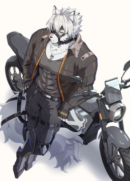abs anthro black_clothing black_gloves black_handwear clothing dog_tags fur gloves grey_clothing grey_jacket grey_shirt grey_tank_top grey_topwear hair handwear high-angle_view jacket leaning_against_motorcycle leaning_against_object leather leather_clothing leather_jacket leather_topwear looking_at_viewer male mechanical_legs motor_vehicle motorcycle muscular muscular_male orange_eyes pecs shirt solo tail tank_top topwear vehicle white_body white_fur white_hair 08studiowork mihoyo zenless_zone_zero von_lycaon canid canine canis mammal thiren wolf hi_res