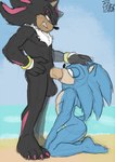 4_toes angry anthro athletic athletic_male balls beach big_arms big_balls big_feet big_penis big_toes black_body black_fur black_skin blue_body blue_fur blue_skin butt chest_fur chest_tuft claws duo duo_focus eye_roll feet fellatio femboy fluffy fluffy_chest forced forced_fellatio fur genitals gold_ring gold_rings golden_ring grabbing_head green_eyes group huge_balls humanoid_feet long_legs looking_pleasured male male/male male_penetrated masturbation muscular muscular_anthro muscular_arms muscular_legs muscular_male nipples nude oral oral_masturbation oral_penetration paws penetration penile penile_masturbation penis pink_claws pink_eyes pink_stripes plantigrade rape sand sea sex sky soles solo stripes submissive submissive_male toe_claws toes tongue tongue_out tuft water de_volt sega sonic_the_hedgehog_(series) shadow_the_hedgehog sonic_the_hedgehog eulipotyphlan hedgehog mammal absurd_res hi_res