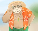 anthro belly bottomwear brown_body clothed clothing eyewear glasses hat headgear headwear kemono male moobs open_clothing open_shirt open_topwear overweight overweight_male shirt shorts solo straw_hat topwear inunoshippo lifewonders tokyo_afterschool_summoners volos_(tas) bear mammal 2022 5:4 hi_res